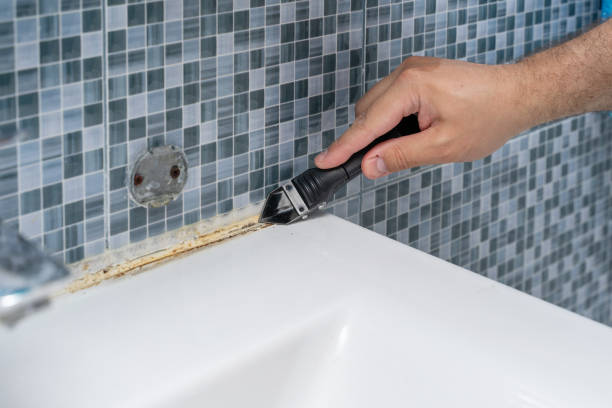 Best Residential Mold Removal  in Pine, AZ